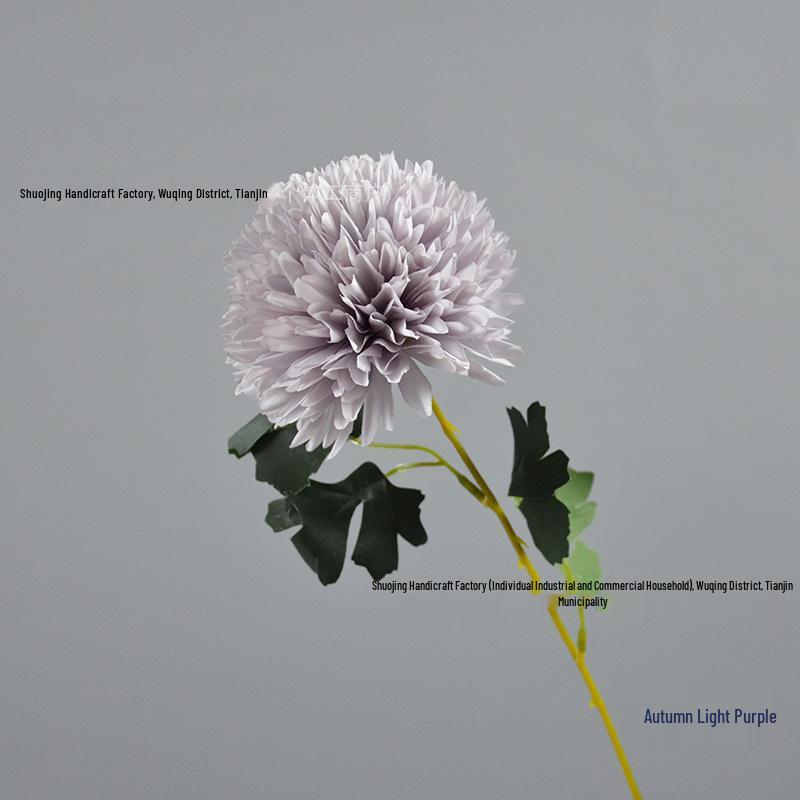Green Onion Ball Single Stem Chrysanthemum Gift Box Bouquet and Floor Stand Accessories