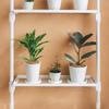 Richell Botany Hanging Pole Shelf, 60cm, White, 170311, 4.5kg Weight Capacity, Indoor Flower Stand