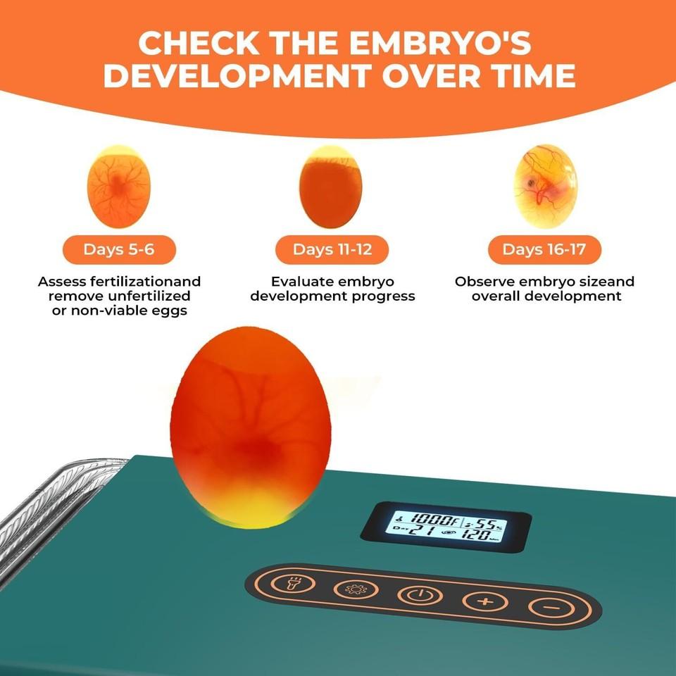 25 Egg Digital Incubator Fully Automatic Hatching Machine Automatic Water Supply