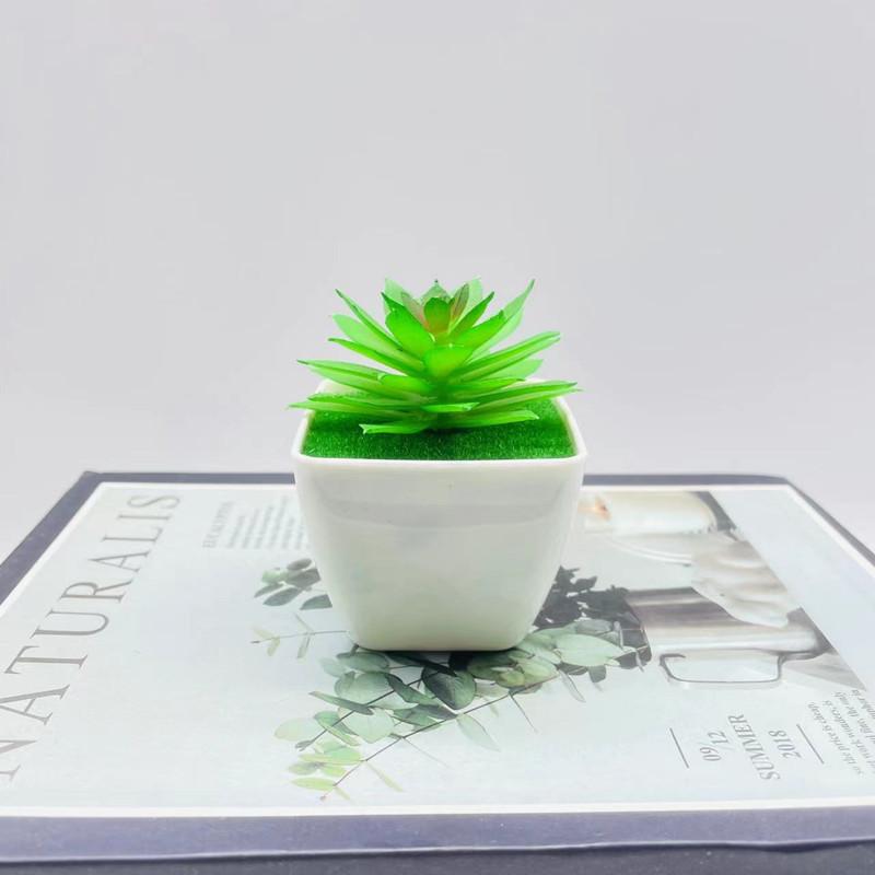 Artificial Succulent Plant With Pvc Material For Home Decor And Gift Ideas