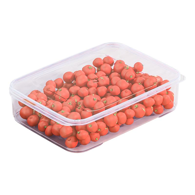 Xitianlong 4.5L Refrigerator Food Storage Container