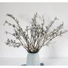 Yunnan Eucalyptus Dried Flowers with Small White Fruits - Medium and Large Diamond Eucalyptus Fruits for Home Decor.