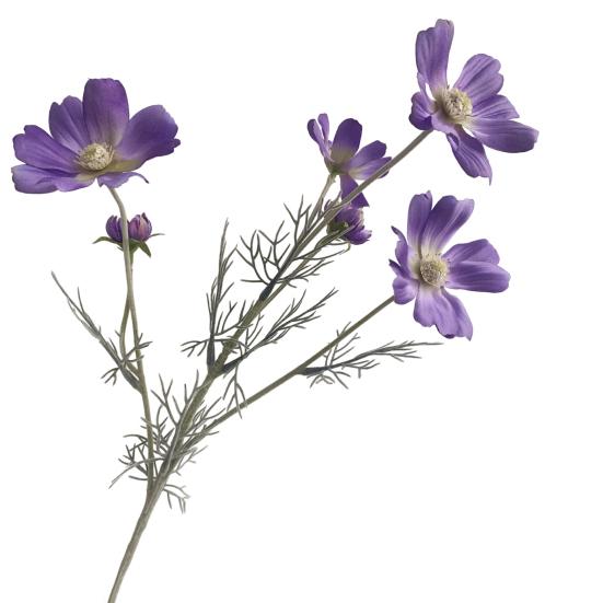 

Искусственный цветок космеи двуперистой (Cosmos Bipinnatus) из искусственного шелка, устойчивый к УФ-излучению, для дома, офиса, свадьбы, вечеринки, для внутреннего и наружного декора.