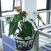 Fence Flower Pot Holder Metal Hanging Basket with Double Hook Over The Rail Potted Plant Holder for Railings Balcony Fence Terrace