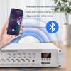 SAST 500W Bluetooth Constant Voltage PA Amplifier CN Plug (adapter Included)