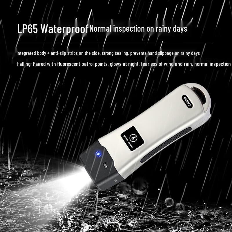 Realand Z-62DZ RFID Lighting Patrol Device