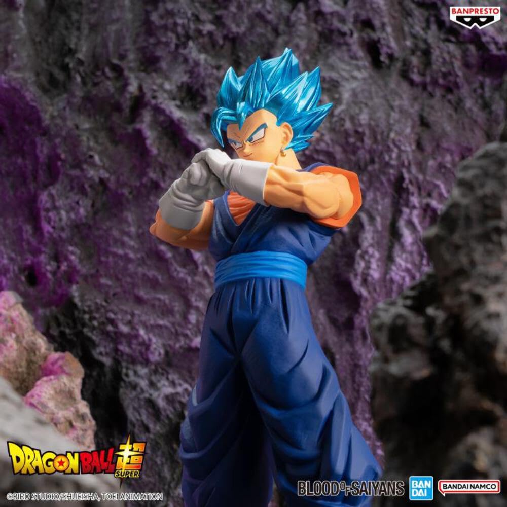 Dragon Ball Super BLOOD OF SAIYANS SPECIAL XIX Super Saiyan God Super Saiyan Vegito