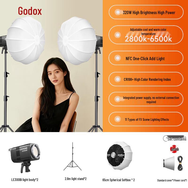 Godox LE300Bi Bi-Color LED Video Light