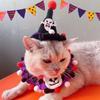 Pet Halloween Party Cross-dressing Hat Witch Hand Hook Woolen Hat Pet Headdress
