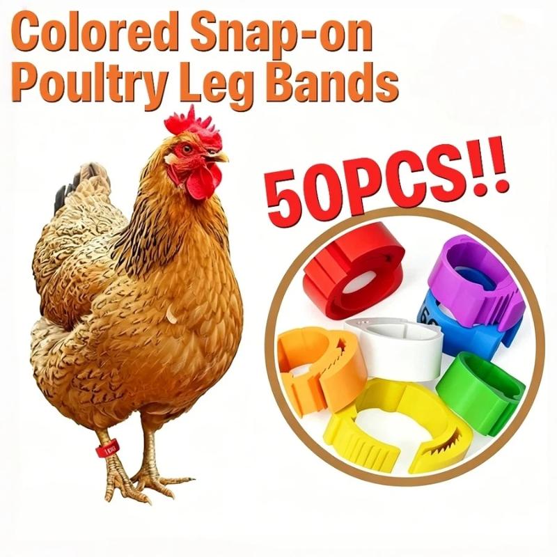 100 Pack Adjustable Poultry Leg Identification Rings Durable No Number Buckle for Chicken Duck Goose Home Farm Feeding Use