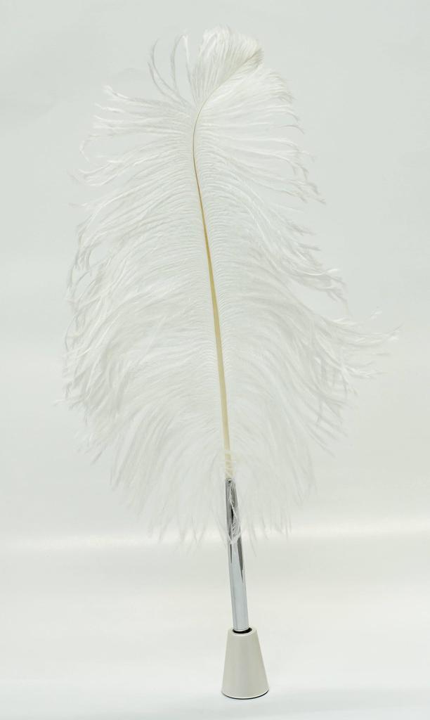 2 Set Pack Japanese Processed Ostrich Large Feather Brass Disc Pen Brass Da Cap Pen Stand White Feather + Q-S1P2WD-2