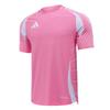 adidas Heat.Rdy 2025 Spieler Schottische Premiership Team Edition Feuchtigkeitsableitend Rundhals Kurzarm Fußballtrikot Unisex Oberteile JZ0598