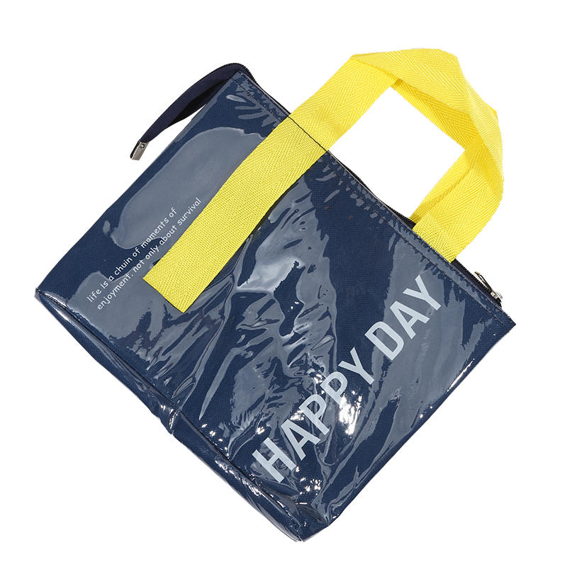 Fashion Travel Picnic Portable Thermal Bento Tote Bag Large Capacity Simple Thickened Waterproof Lunch Organizer Bag