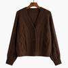 Solid V-Neck Sweater Women Knitted Cardigan Slouchy Spring and Autumn 2026 New Small Loose Short Cardigan Sweater Female Coat