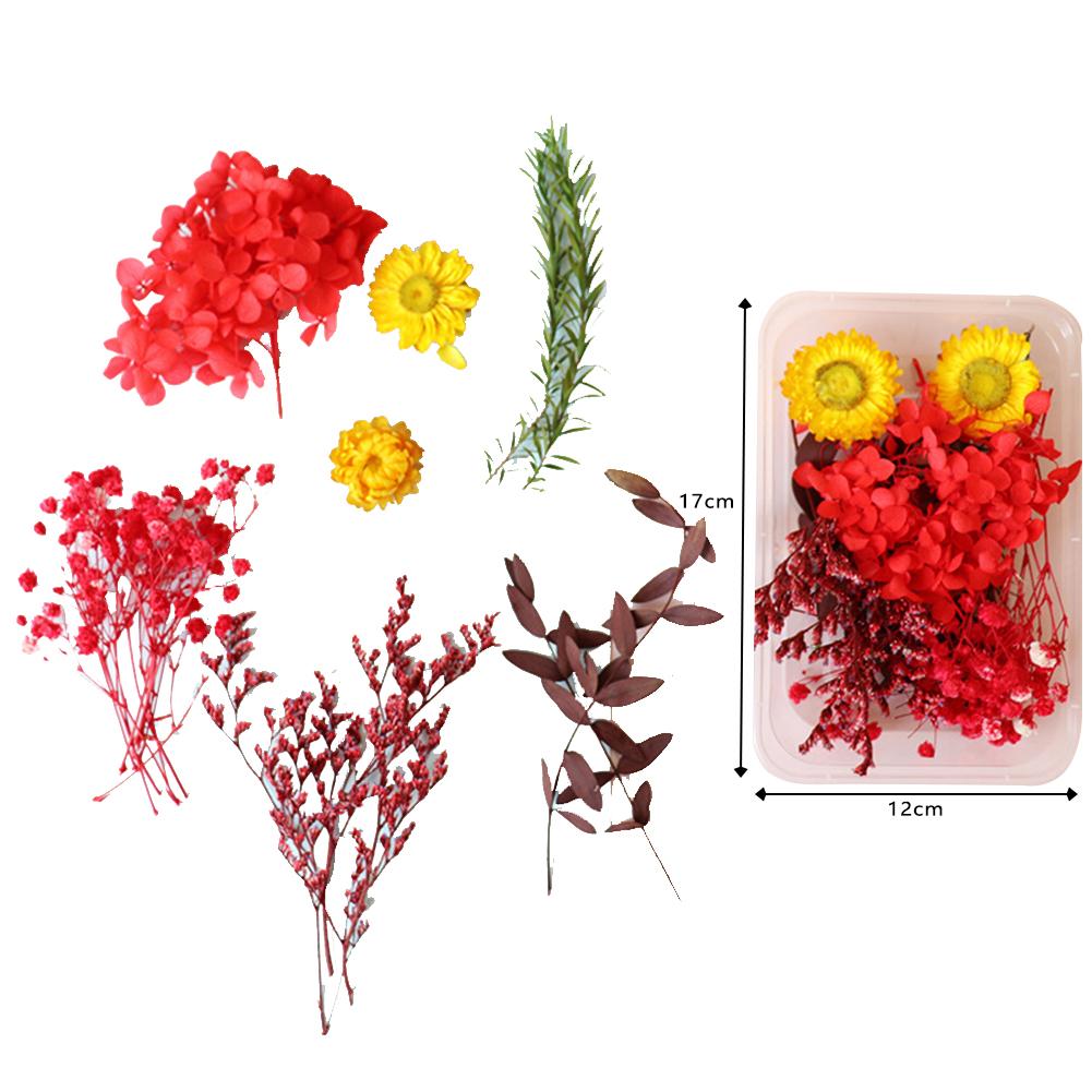 Naturalne kolorowe suszone kwiaty Diy rzemiosło pakiet materiałów na świeca zapachowa ręcznie girlanda ramka na zdjęcia Scrapbooking tworzenie kartek
