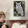 Owl Jellyfish Special Shaped 5D DIY Partial Drill Diamond Painting Kits for Adults Gift Home Wall Decor Diamond Art Kit 30x40cm