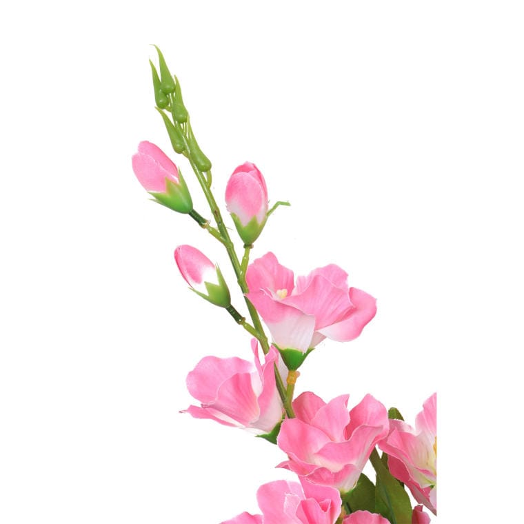 Bouquet of 5 light pink gladioli