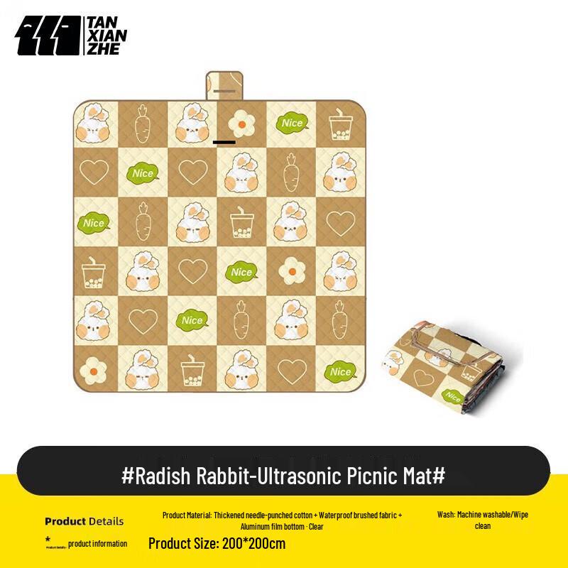 Explorer Thickened Portable Outdoor Picnic Mat