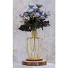 1 Pcs Metal Vase for Home Decor, Living Room, Bedroom, Office, Table Centerpiece | Propagation Station with Metal Frame,