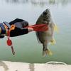 Fish Control Forceps Catcher Gripper Plastic Fishing Pliers Grip Holder Fishing Tackle Accessories Fish Control Clamps