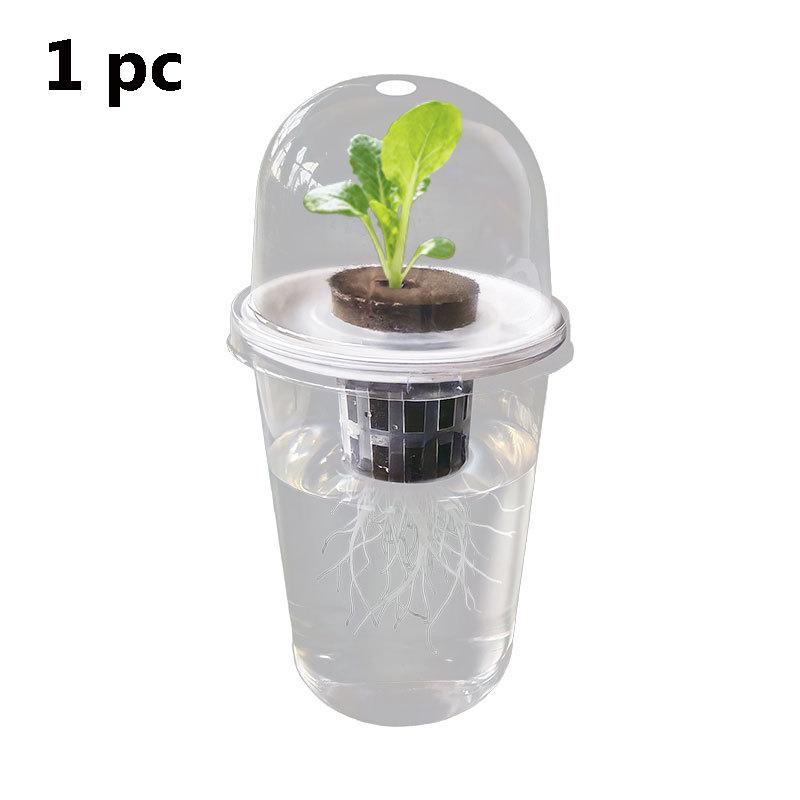 

1/3 шт. Прозора чашка для пророщування рослин, прозорий пластиковий ящик для розсади, кімнатний сад, теплиця, лоток для стартера насіння