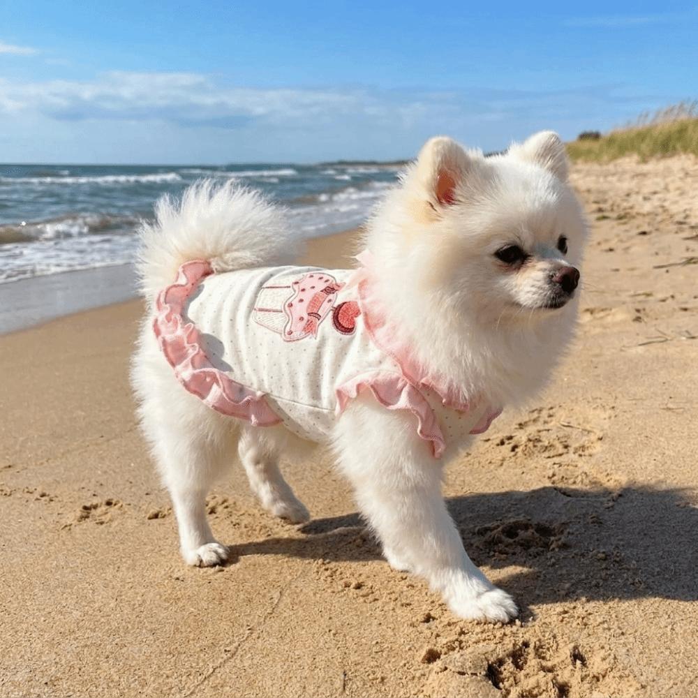 Breathable Pet Dress Shirt Ruffles Design Pet Princess Dress Dog Floral Lace Skirt Photography