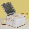 Insulated Takeaway Cooler Bag for Ice Cream, BBQ Grilled Fish, and Seafood