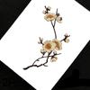 2Pcs Applique Patch DIY Plum Flower 17*8CM Iron Patches Clothing Embroidery For Dress Embroidered Appliques