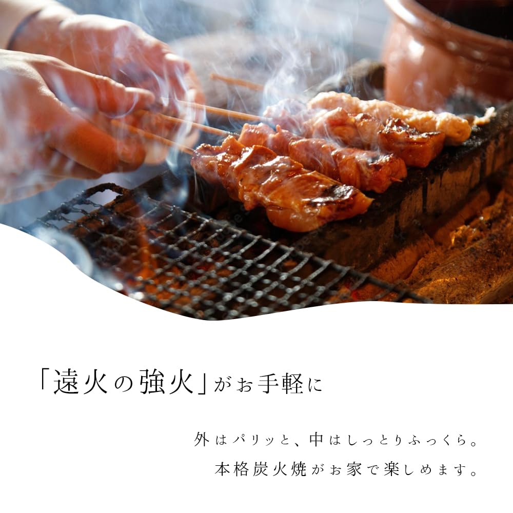 Styleneo Yakijozu Net with Made In Easy To Use for High Heat and Distant X 20 X 7 (Grilling Stand), Japan, Heat, 25.5 Cm, Tsubame-Sanjo