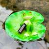 Resin Water Lily Leaf Ornaments with Frogs - Courtyard Decor, Custom Small Batch Orders