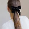 Jean Paul Clarisse Velvet Petite Ribbon Scrunchie JP-22-141S