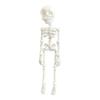 3D Printed Skeleton Refrigerator Magnet Halloween Poseable Skeleton Figurine with Movable Joints