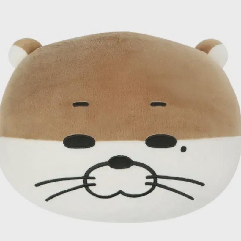 

Both The Boynextdoor And Ponecks Wear Riwoo Darling Cushions