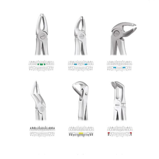 

GDC Extraction Forceps Atraumatic