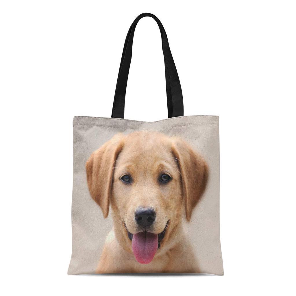 labrador shopping