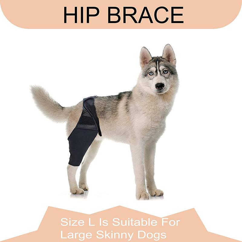 Pet Knee Pads Dog Support Brace Breathable Injury Recover Legs Wrap Ligaments Support Injury Care Dog Wrap Pet Dog Supplies