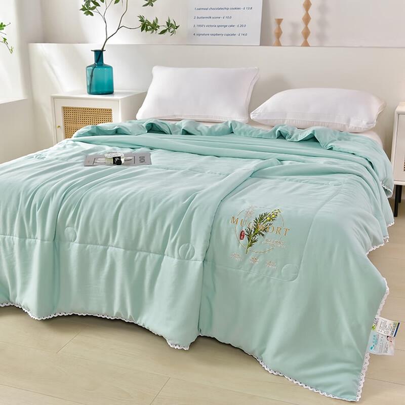 Qixiai Skin-Friendly Mugwort Summer Quilt