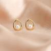 Earrings Water Drop Shape Pearl Temperament New High-end Classic Versatile Earrings