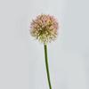 Scallion Balls Artificial Onion Ball Flowers Single Dandelion Branch Flower  Living Room Ornaments