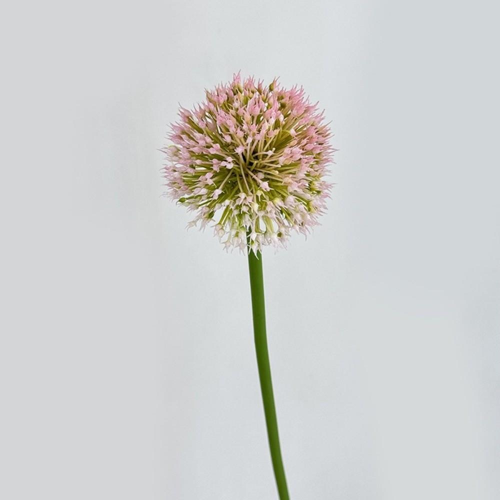 Scallion Balls Artificial Onion Ball Flowers Single Dandelion Branch Flower  Living Room Ornaments