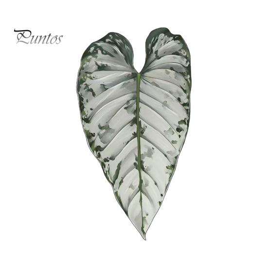 Tropical Plant Refrigerator Magnets 3D Plants Magnet, Acrylic Green Decorative Fridge Home Decor Memo Notes Photo Holder for Kitchen Office