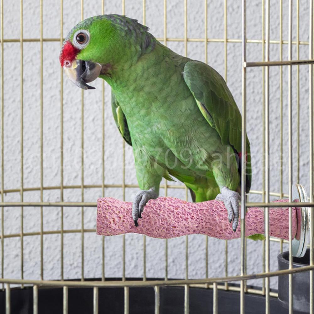 Bird Perch Perch Grinding Sticks Parrot Claw Grinding Stick for African Grey Cockatoo and Parakeets