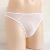 Mesh Briefs Sheer See-Through T-back Thong Underpants