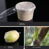 120M Self-adhesive PE Grafting Tape Film Stretchable Garden Tree Plants Seedlings Vine Tomato Grafting Accessories