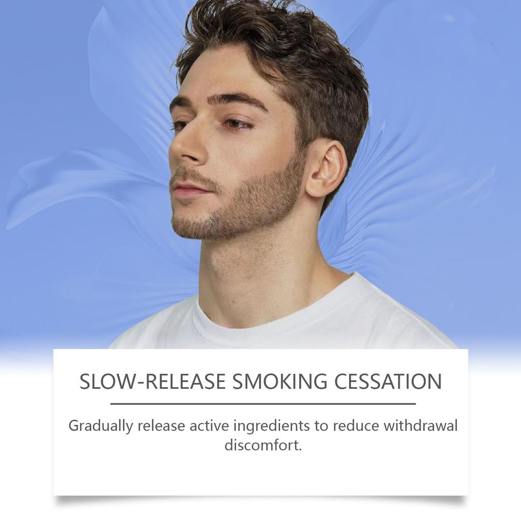 South Moon Sanfte Kräuterpflaster Für Angenehme Körperliche Linderung 5 Stück