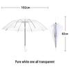 Hand-Painted Transparent Umbrella for Adults & Kids - Extra Large & Durable