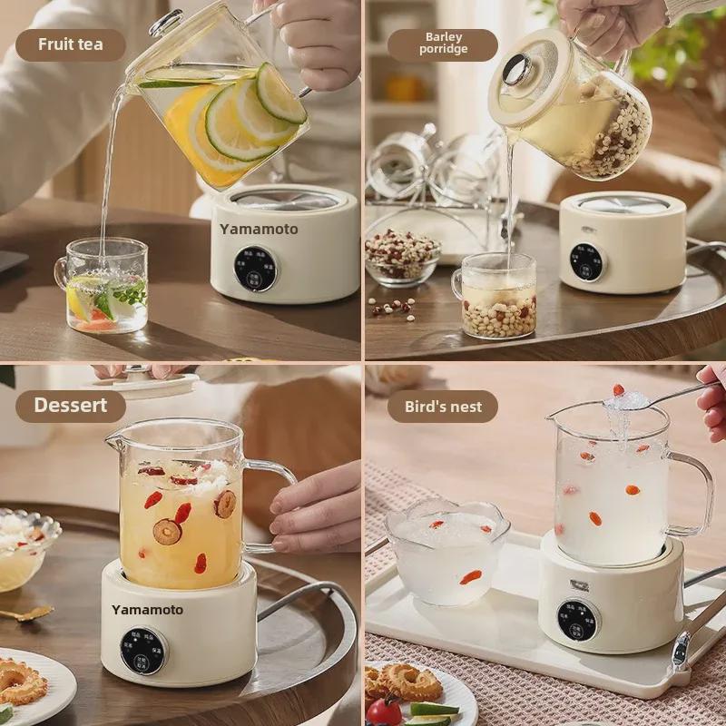 Yamamoto Multifunctional Mini Glass Teapot for Flower Tea