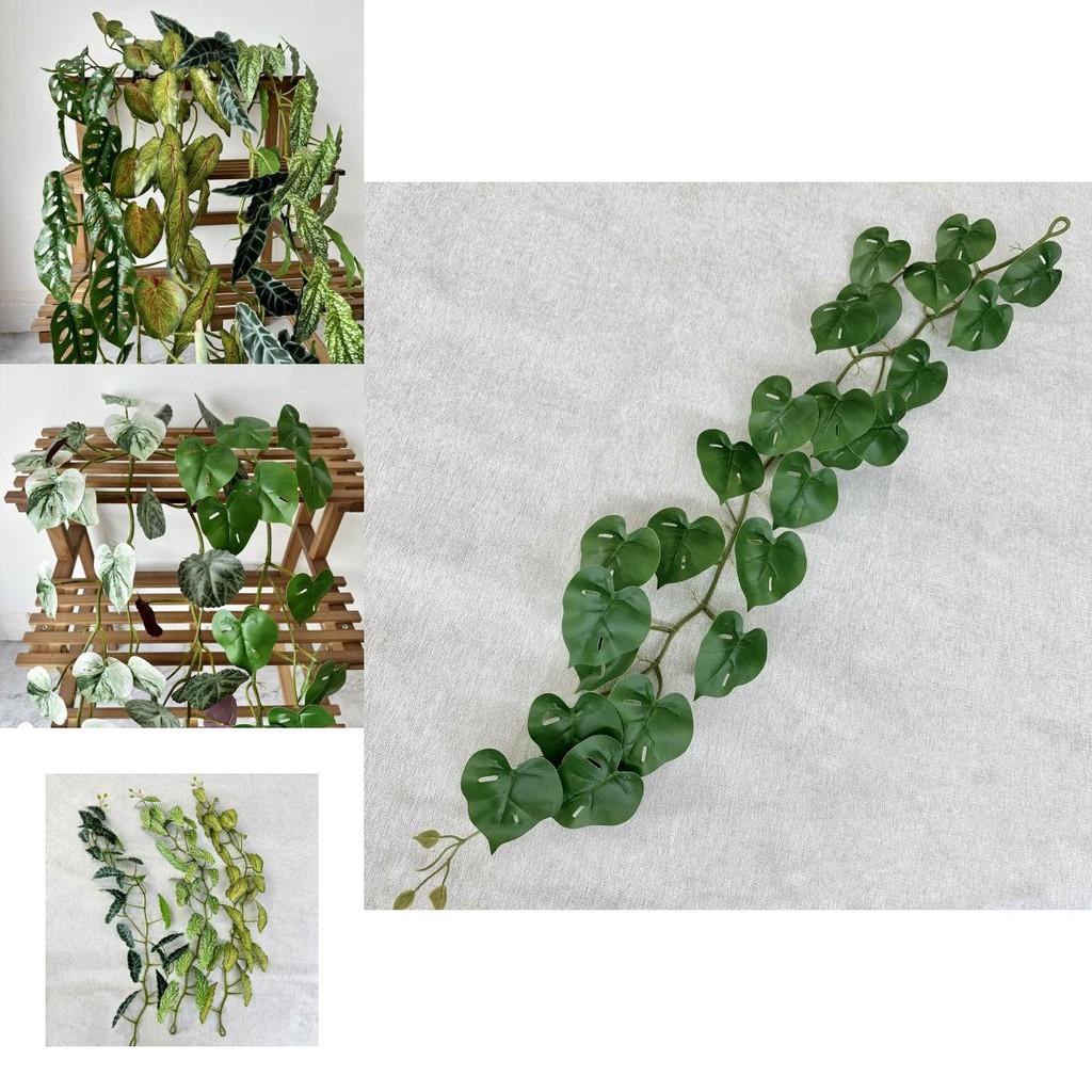 Artificial Green Plant Wall Decor With Silk Screen Printing For Home And Photography Use
