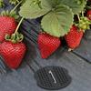 Multifunctional U-Type Garden Staples with Pad Outdoor Fixed Nail Heavy-duty Landscape Spikes Fence Tubing Stakes Film Fixed Peg