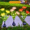 Outdoor Solar Shore Flower Lights, Waterproof LED Garden Stake Lamps, Decorative Landscape Lighting for Courtyard Lawn Patio Yard Decor